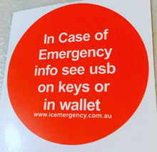 Load image into Gallery viewer, 1 key ring usb
